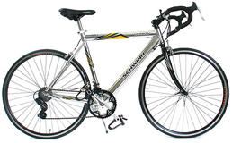 Schwinn Varsity Road Bike