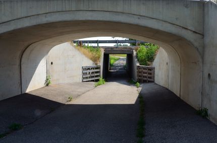 Moraine Hills Trail Tunnel under River Road