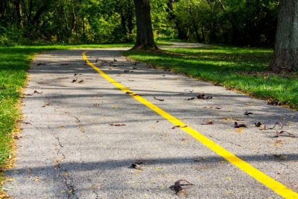 Low profile photo of bike trail