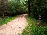 Mile 7 marker, getting back into the woods...